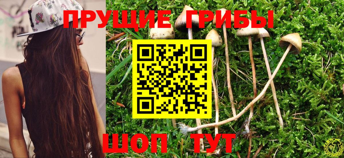 Котельники  Галлюциногенные грибы мицелий  Вход с VPN  Галлюциногенные грибы прущие грибы 